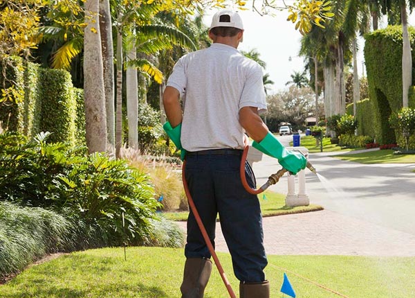 About Litchfield Park AZ Pest Control Pros